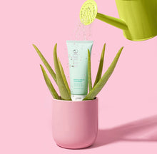 Load image into Gallery viewer, Gentle Balm Cleanser